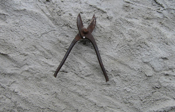 Forbici